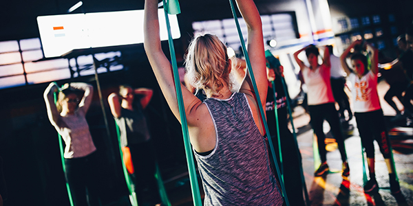 Fitness Classes at Equilibrium Fitness